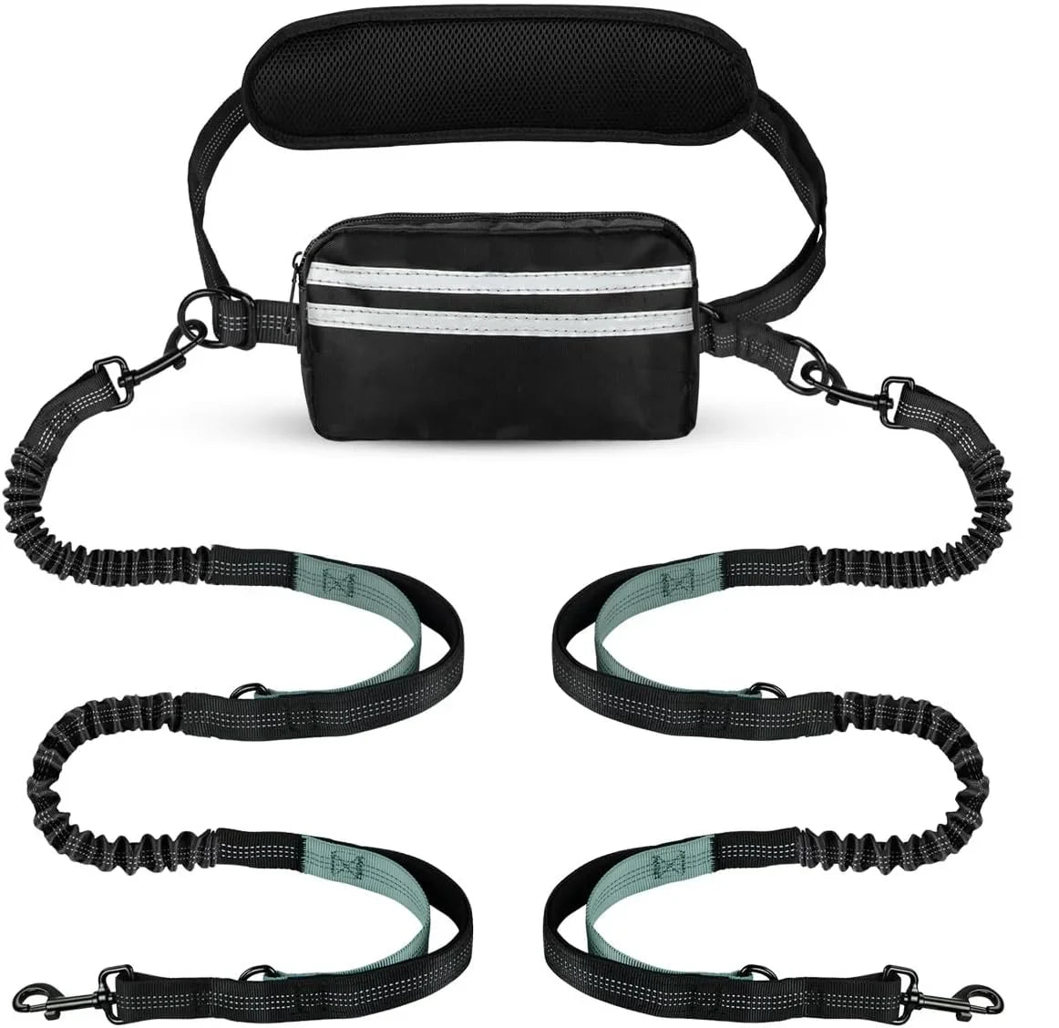 Dog Leashes & Walking Gear
