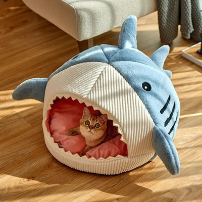 Where Comfort Meets Home