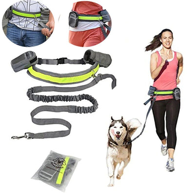 Reflective Dog Leash
