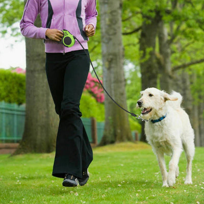 Walks That Bring You Closer
